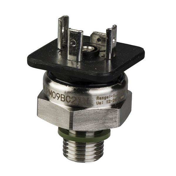 Pressure transmitter - XMLP - -1+9bar - G1/4A male - 4..20mA - DIN - set of 1 image 1