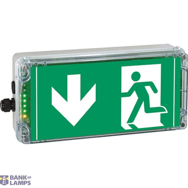 Ex-escape sign luminaires with integrated emergency lighting function EXIT 2 N for zone 2/22, Pictogram: DIN ISO 7010, Arrow: 6 Clock image 1