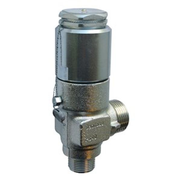 BSV 8 T 225 SAFETY VALVE 25 BAR image 1