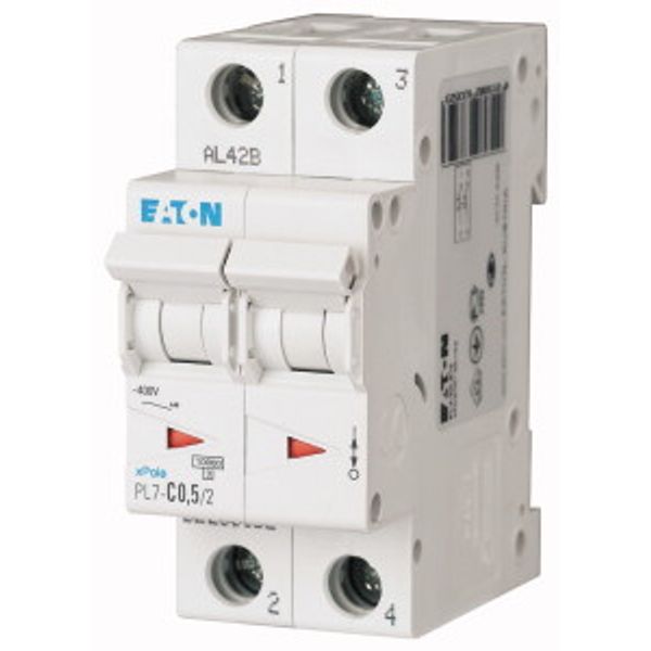 PL7-C0,5/2 Circuit breaker 10kA, 2p (instead of 278743) image 2