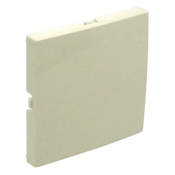 BLIND COVER PLATE IVORY image 2