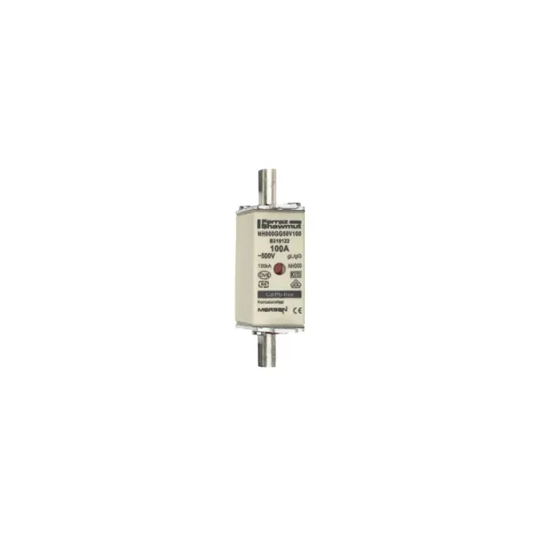 Fuse-link NH000 gG 500VAC 100A live tags Double indicator By 3 image 2