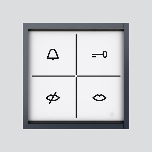 ZAM 670-0 AG Status display module image 1