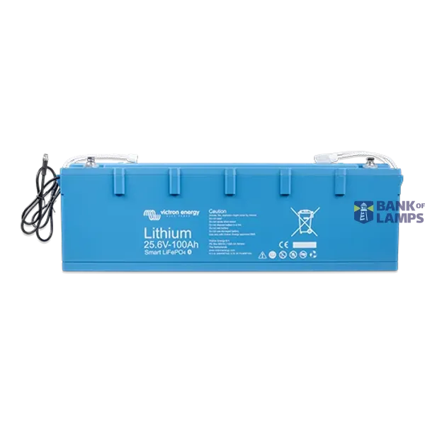 Dummy LiFePO4 Battery 25,6V/100Ah Smart image 1