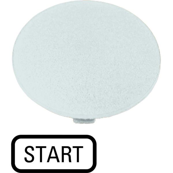 M22-XDP-W-GB1 Button plate, mushroom black, START image 6