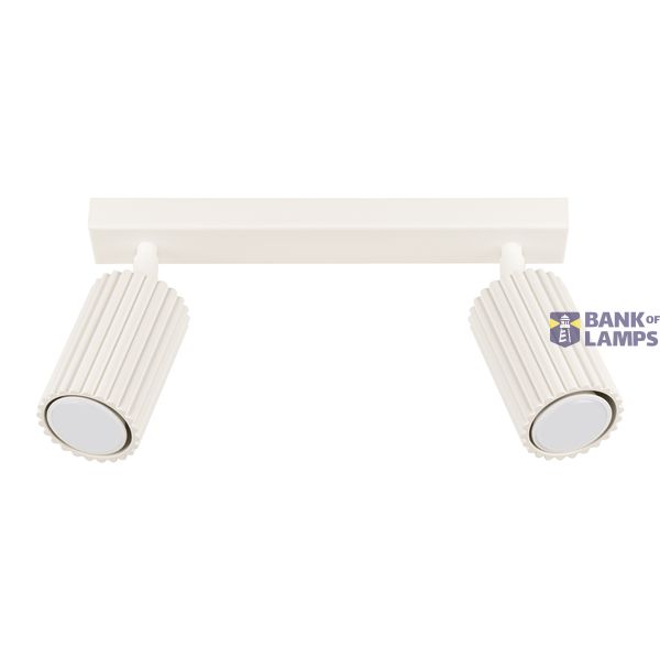 CEILING STRIP WITH TWO MOVABLE BEIGE SPOTLIGHTS FOR HALLWAY, CARBON SERIES 2XGU10 image 2