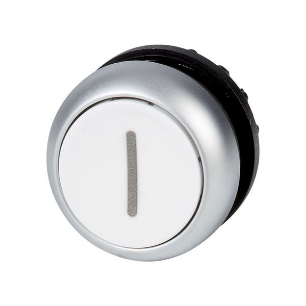 M22-D-W-X1 Pushbutton, RMQ-Titan, Flat, momentary, White, inscribed, Bezel: titanium image 6