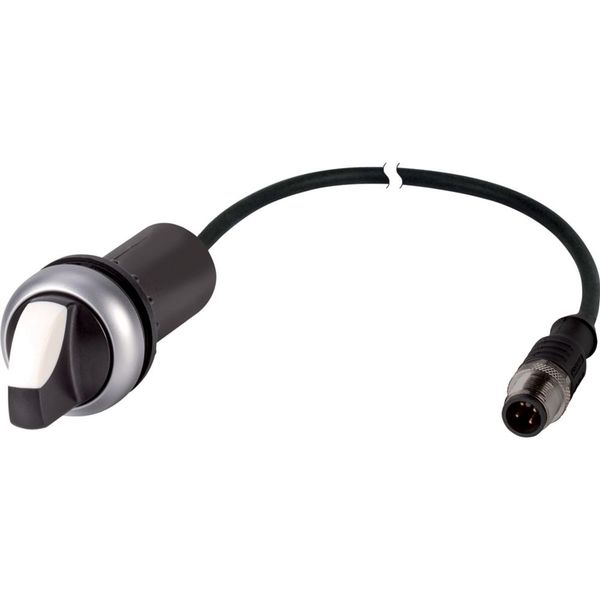 C22-WK3-K20-P1 Changeover switch, With thumb-grip, momentary, 2 N/O, Cable (black) with M12A plug, 4 pole, 0.2 m, 3 positions, Bezel: titanium image 3