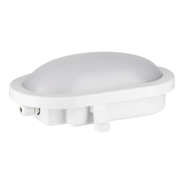 LED Bulkhead Basic 12W 4000K White Oval image 1