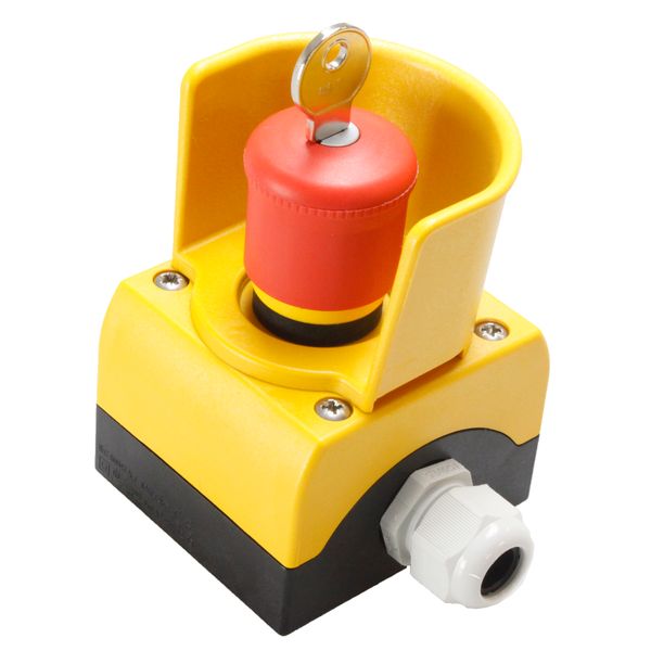 Remote switch with key MS1 image 1