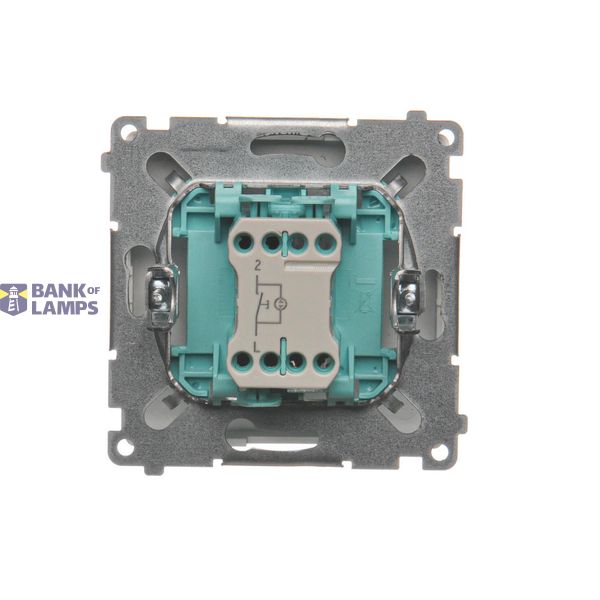 Single break push button with pictogras, (module), 10AX, quick connection, white image 1