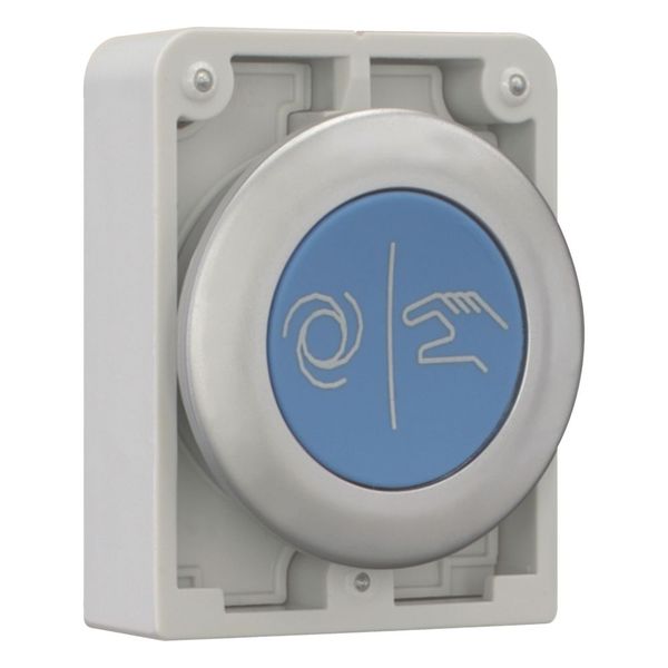 M30C-FD-B-X217 Pushbutton, RMQ-Titan, Flat, momentary, Blue, inscribed, Metal bezel image 11