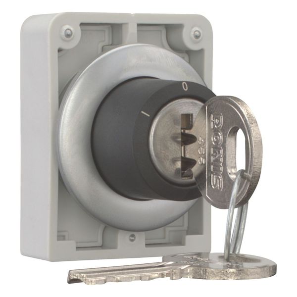 M30C-FWRS3-RS-A1 Key-operated actuator, Flat Front, maintained, 3 positions, Ronis 455, Key withdrawable: 0, Metal bezel image 7