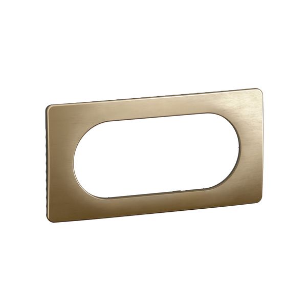 PLATE 2G LARGE SATIN BRONZE image 3