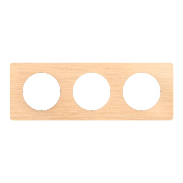 PLATE 3 GANG BEECH image 6