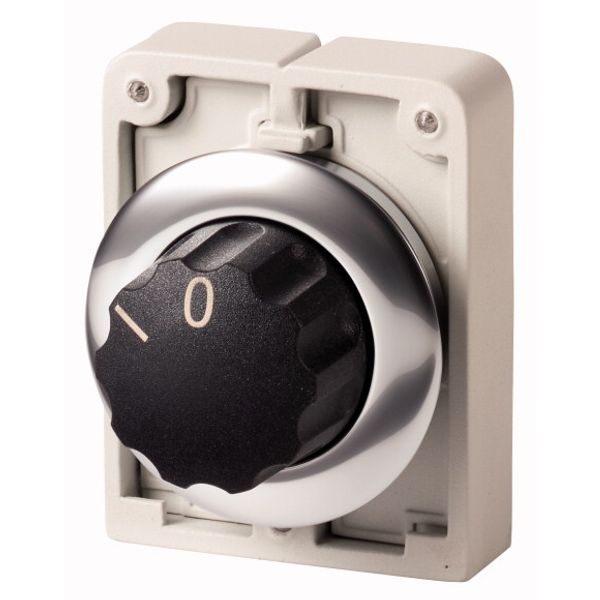 M30C-FWR Changeover switch, RMQ-Titan, With rotary head, maintained, 2 positions, inscribed, Metal bezel image 1