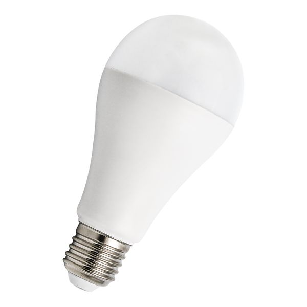 ecobasic LED A65 E27 240V 15W 4000K Opal image 1
