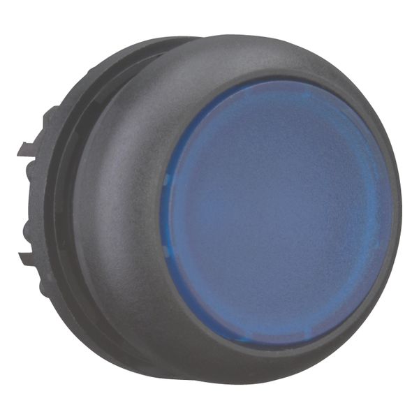 M22S-DL-B Illuminated pushbutton actuator, RMQ-Titan, Flush, momentary, Blue, Blank, Bezel: black image 8
