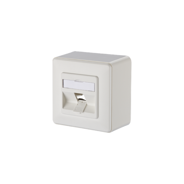 Keystone wall outlet surface mounted 1 port unequipped pure white image 3