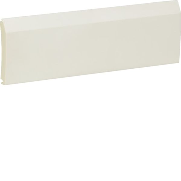 Replacement door solid, white for VD106 image 1