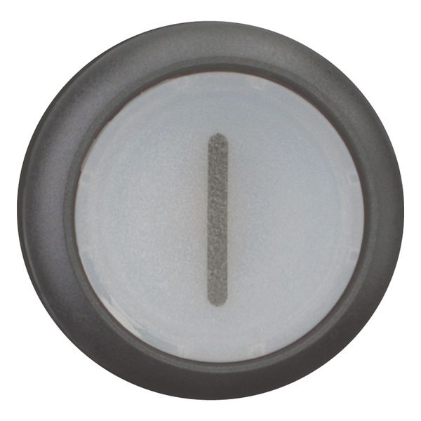 M22S-DRL-W-X1 Illuminated pushbutton actuator, RMQ-Titan, Flush, maintained, White, inscribed 1, Bezel: black image 11