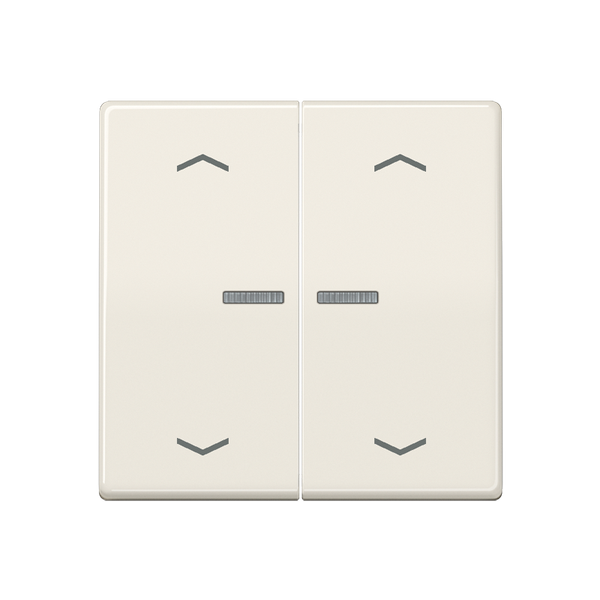 JUNG HOME push-button 2-gang with arrow BTAS17102P image 1