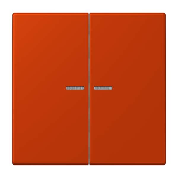 JUNG HOME push-button 2-gang BTLC17102244 image 1