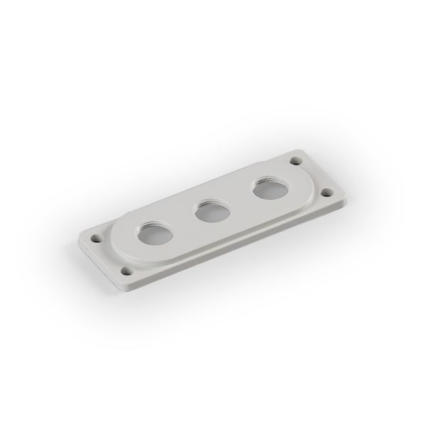 Inlet flange F1 size image 1