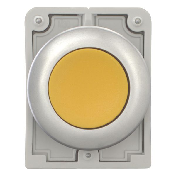 M30C-FDR-Y Pushbutton, RMQ-Titan, Flat, maintained, yellow, Blank, Metal bezel image 10
