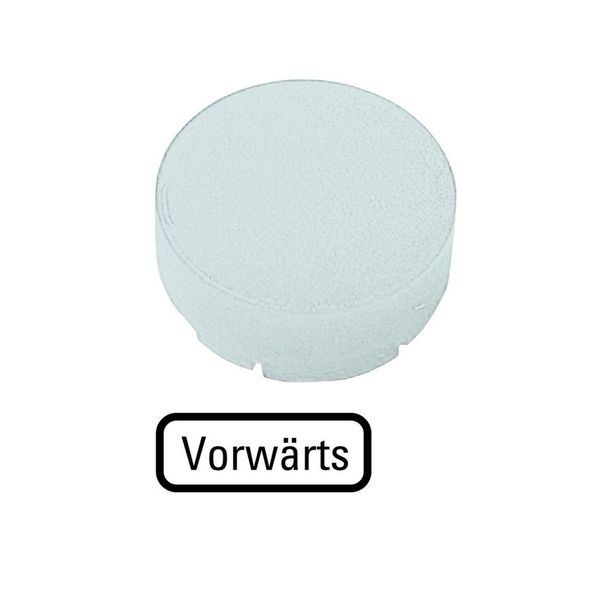 M22-XDLH-W-D15 Button lens, raised white, FORWARDS image 3