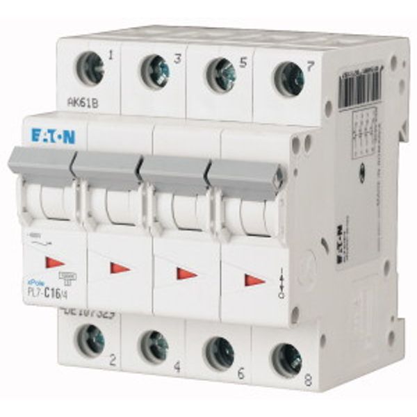 PL7-D6/4 Miniature circuit breaker (MCB), 6 A, 4p, characteristic: D image 2