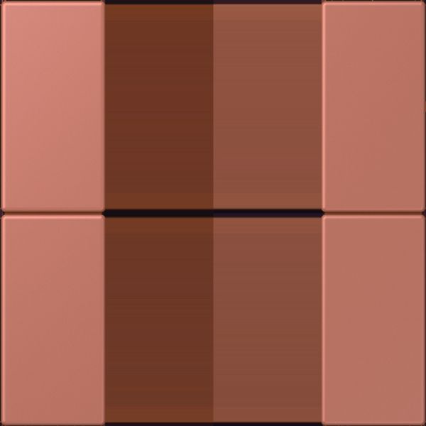 Cover kit 2-gang, complete LC502TSA32121 image 3