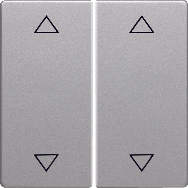 Rockers with imprinted symbol arrows, Q.1/Q.3, aluminium velvety, lacq image 1