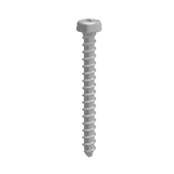 Light Now - screws for supporting frame 2m image 1
