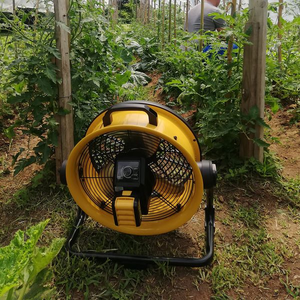 Master Floor Fan DFB 16 image 3