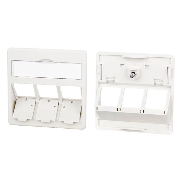 Central plate 50 x 50 mm 3 port, pearl white, modul image 2