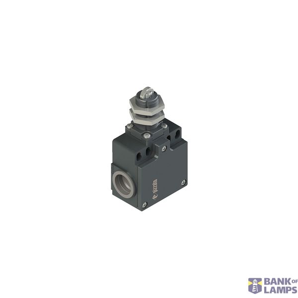 Position switch with roller and threaded piston plunger image 1