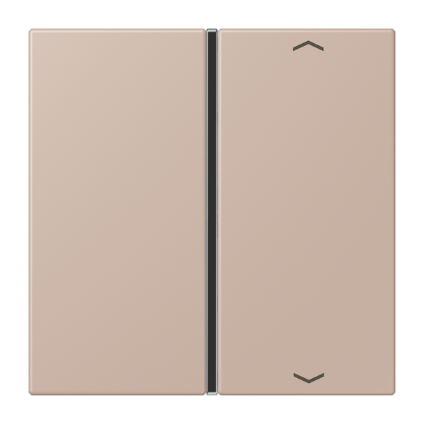 Cover 1-gang with symbols LC32131 LC401TSAP240 image 1
