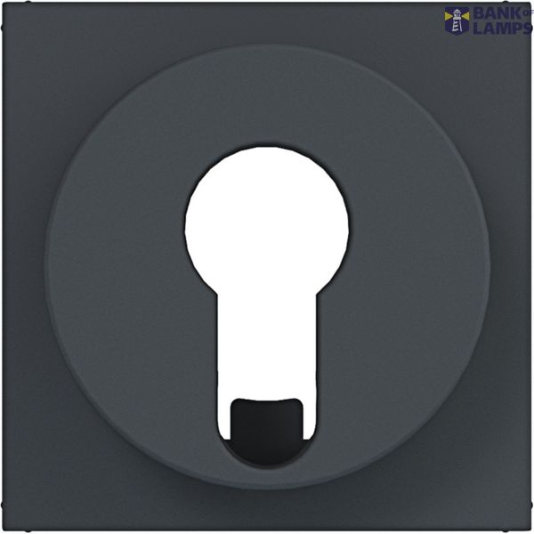 Central locking blind switch/push button for DIN cylinder A.x/C.x anthracite image 1