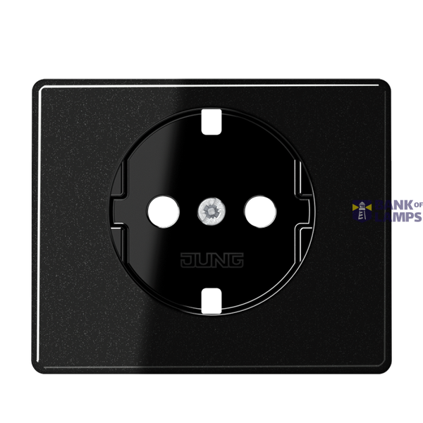 centre plate f. SCHUKO socket image 1