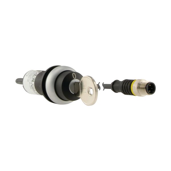 C22-WS-MS1-K10-P1 Key-operated actuator, RMQ compact solution, momentary, 1 N/O, Cable (black) with M12A plug, 4 pole, 0.2 m, 2 positions, MS1, Bezel: titanium image 11