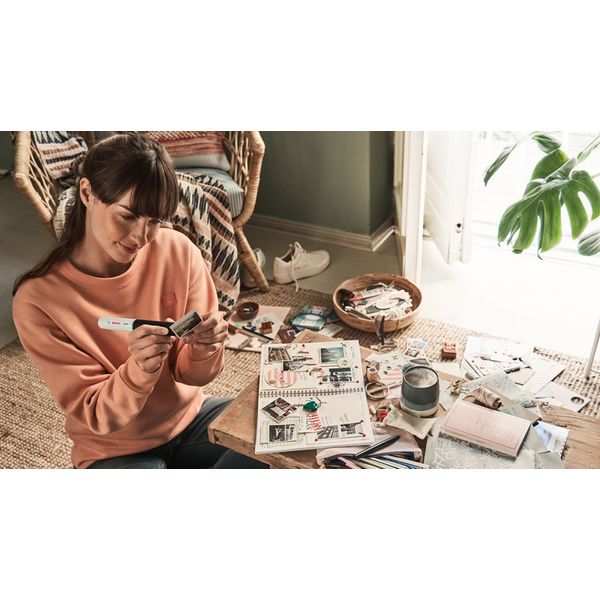 Gluey - evergreen image 2