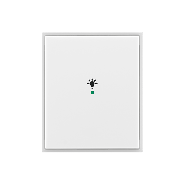 Rocker, 1gang, with “Light” icon image 1