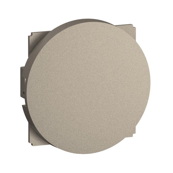 BLANKING PLATE TITANIUM image 1
