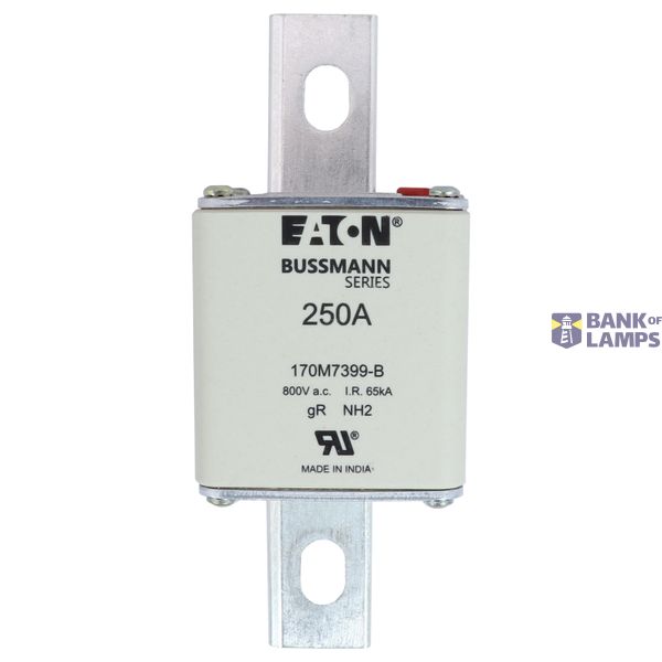 FUSE 250A 800V AC gR SIZE2 BOLTED TAG DI image 6
