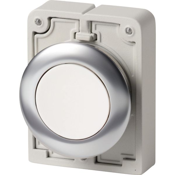 M30I-FD-W Pushbutton, RMQ-Titan, flat, momentary, White, blank, Front ring stainless steel image 3