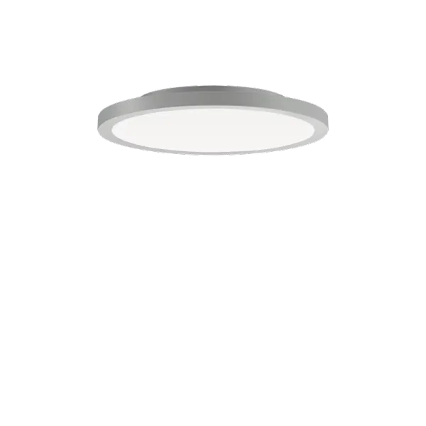 FL R+ 333 SM 8/23 S/B 830 GR9006 OP image 1