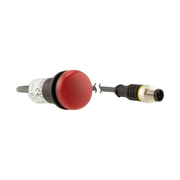 C22-L-R-24-P3 Indicator light, Flat, Cable (black) with M12A plug, 4 pole, 0.5 m, Lens Red, LED Red, 24 V AC/DC image 17