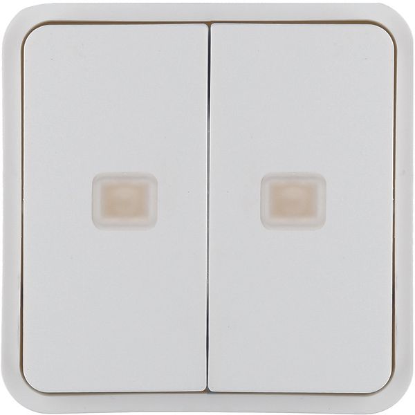 Rocker 2gang for W.1 push-button BCU, with two lenses, polar white image 2