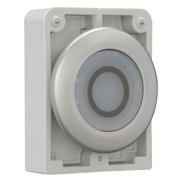 M30C-FDRL-W-X0 Illuminated pushbutton actuator, RMQ-Titan, Flat, maintained, White, inscribed 0, Metal bezel image 8